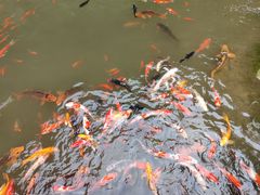 -陶祖圣境风景区