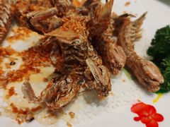 -大东海海鲜酒楼(渔人码头总店)