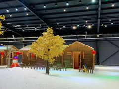 -宁波冰雪大世界(北仑区)