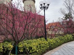 -启东恒大海上威尼斯酒店