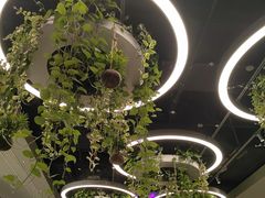 -大头椰·椰子鸡火锅(南宁万象城店)