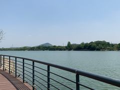 -羊山湖公园