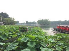景点-什刹海