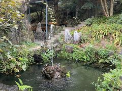 -黄山翡翠谷景区