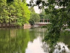 -荔湾湖公园