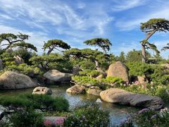 -罗红摄影艺术馆