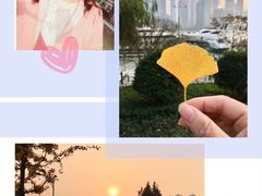 景点-北外滩滨江绿地