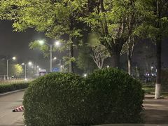 -保定东湖公园(莲池区)