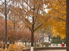 -北京雄鹿运动中心