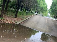 -胜华驾校·小猫学车(银都店)