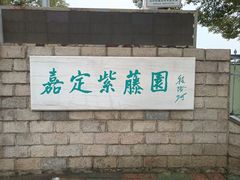 -嘉定紫藤园