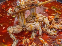 -鸿顺老铁锅美蛙鱼府(解放碑店)