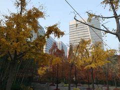 -上海不夜城广场(上海不夜城金融大厦店)