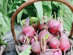 -王婆炒鱼(总店)