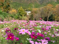 -塔川景区