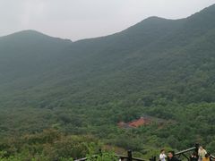 -皇藏峪国家森林公园