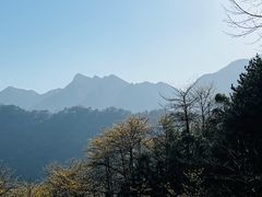 -九华山风景区-东崖禅寺