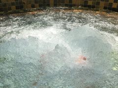 -三亚珠江南田温泉度假区