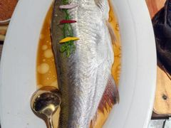 -醉庐·新上海菜(南京西路店)