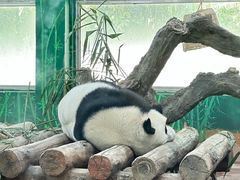 -广州动物园