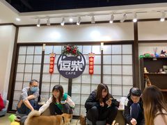 等位区-逗柴咖啡屋·狗咖猫咖宠物桌游