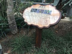 -南山植物园