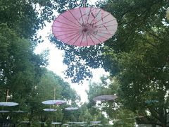 -溱湖国家湿地公园