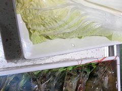 -野妹火锅(龙岗店)