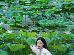 -白鹭湾湿地公园