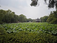 -莲池书院博物馆