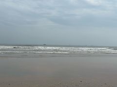 -日照海滨国家森林公园