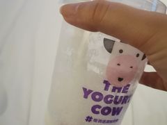 -一只酸奶牛(八一路店)