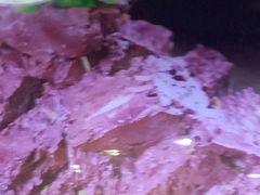-凤百年大骨鸡饭庄