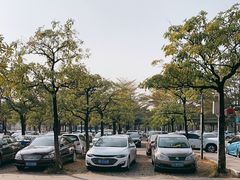 -顺峰山公园