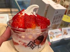 -喜茶(迪士尼小镇DP店)