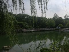 -白马涧龙池景区