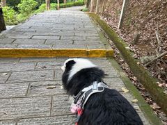 -清溪大王山森林公园