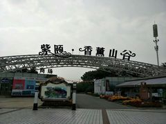 -紫颐香薰山谷景区