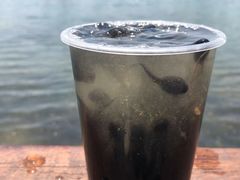 -秀丽东方