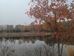 -东郊湿地公园