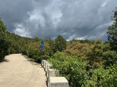 -府君山公园