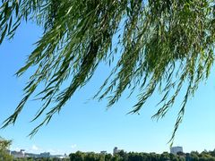-济南大明湖景区