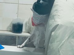-宠福鑫动物医院·动物疾病诊疗中心(天通苑店)