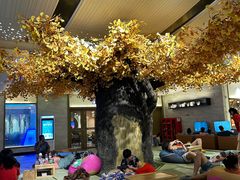 -青水瓦台汤泉(未央店)