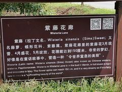 -金卉庄园