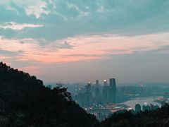 -南山植物园