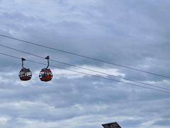 -大连老虎滩海洋公园