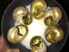-金蜗牛