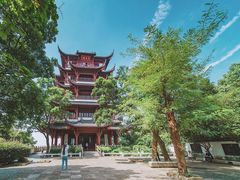 -安徽大青山野生动物世界