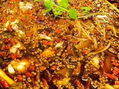 苕粉-鸿顺老铁锅美蛙鱼府(解放碑店)